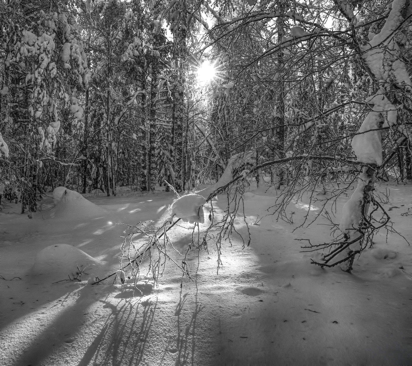 Зимнее солнце