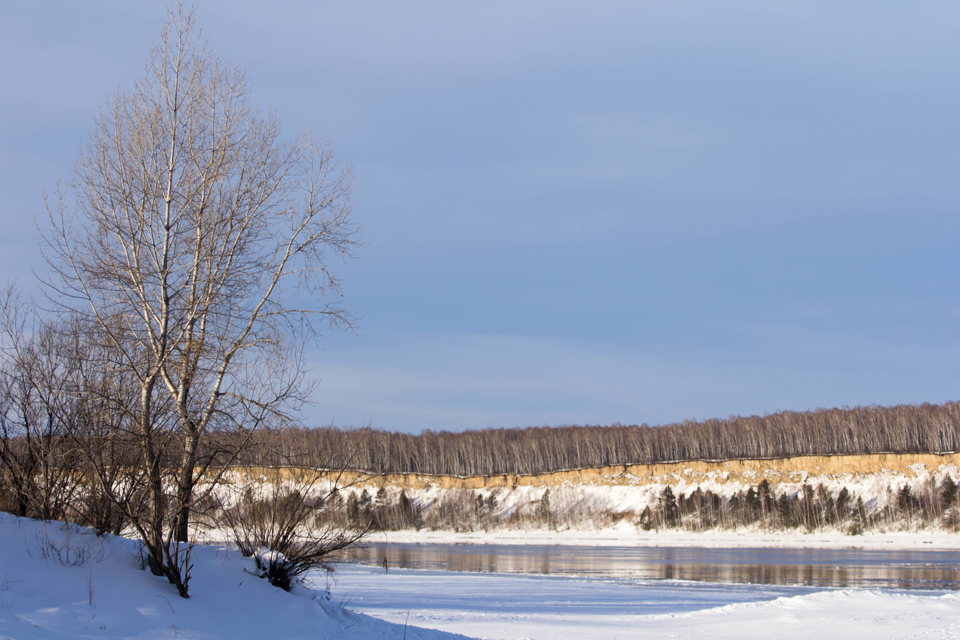 На берегу Енисея