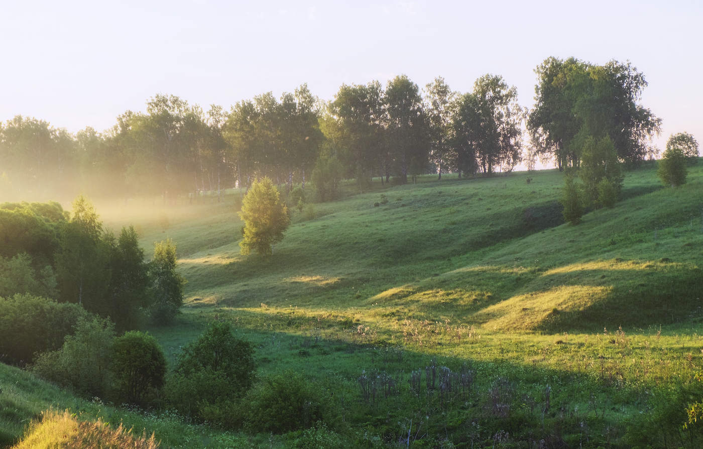 Весенним утром