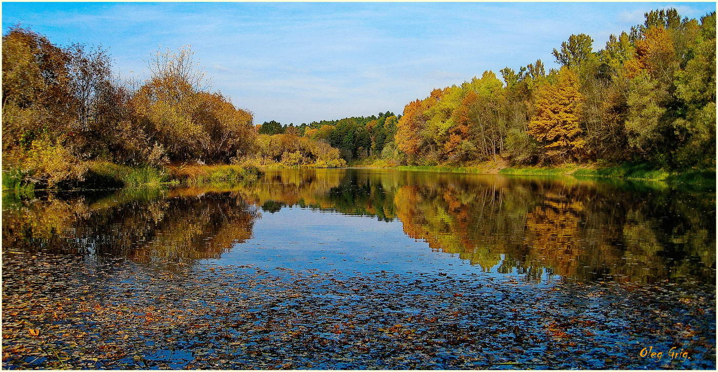 Лесная гладь Осеннего пруда.