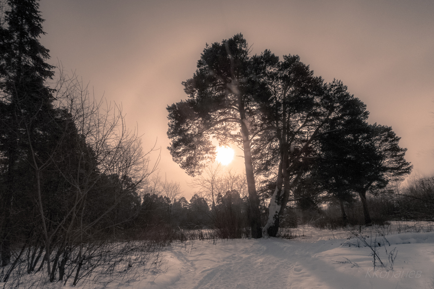 Оттенки зимы