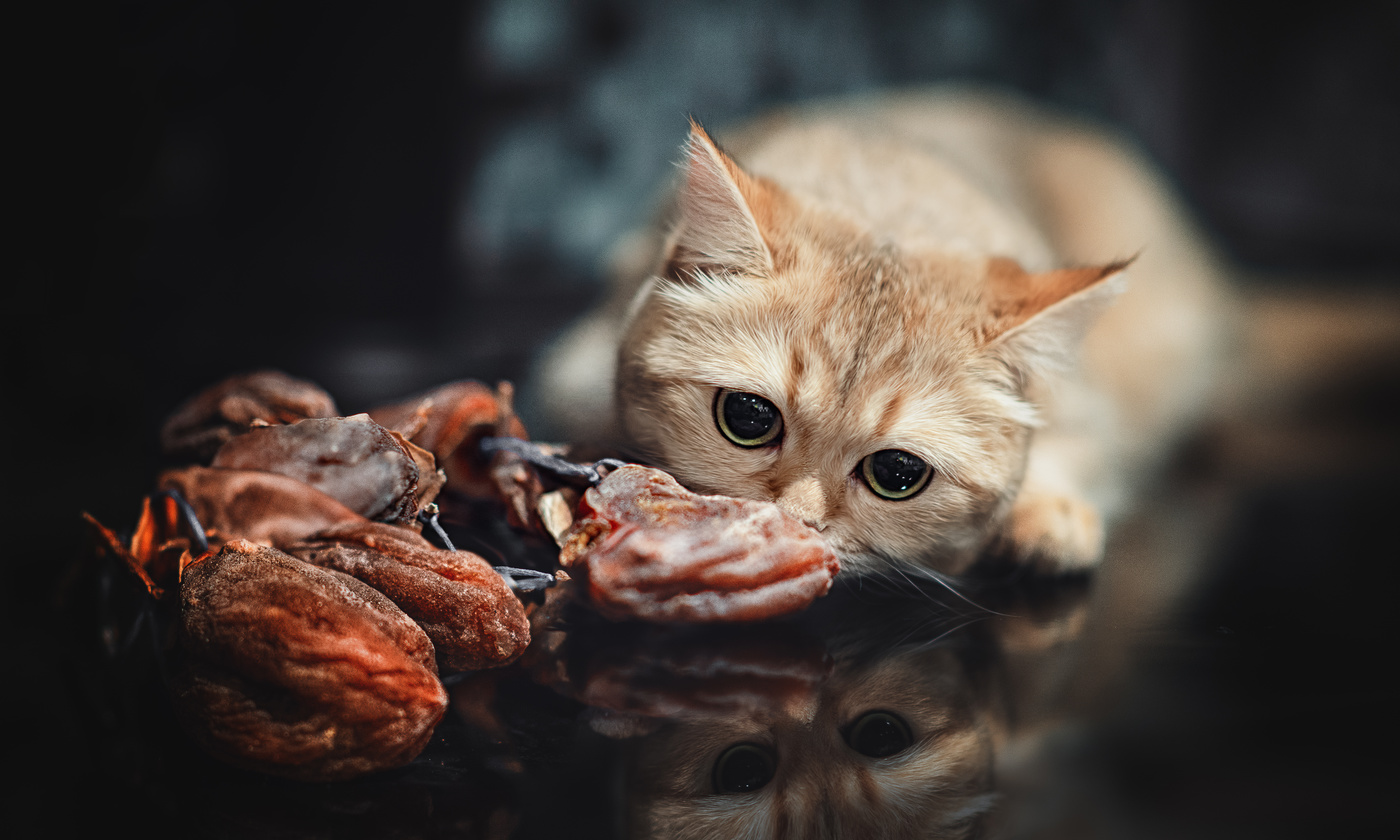 Я сидел тихо, мирно. Потом проголодался., дальше не помню....