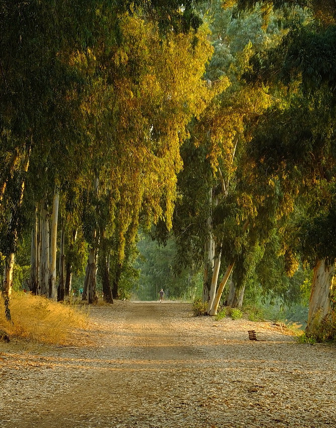 Осенний этюд