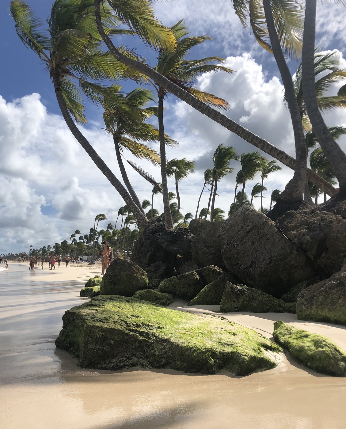 Где-то далеко...