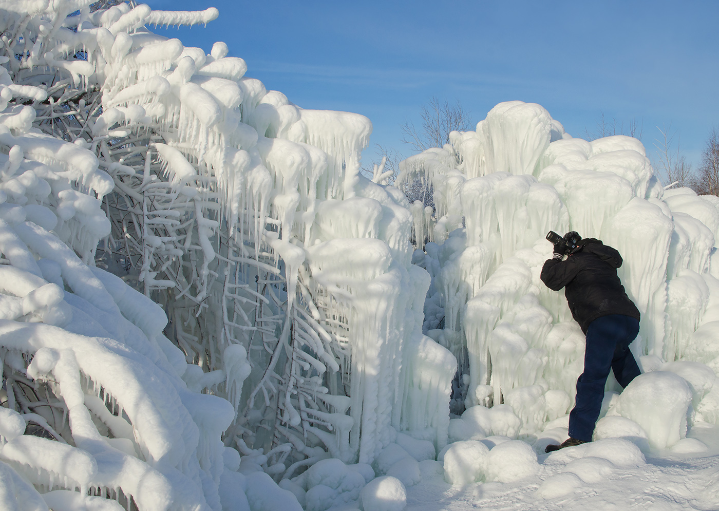 Наследство минусовых температур
