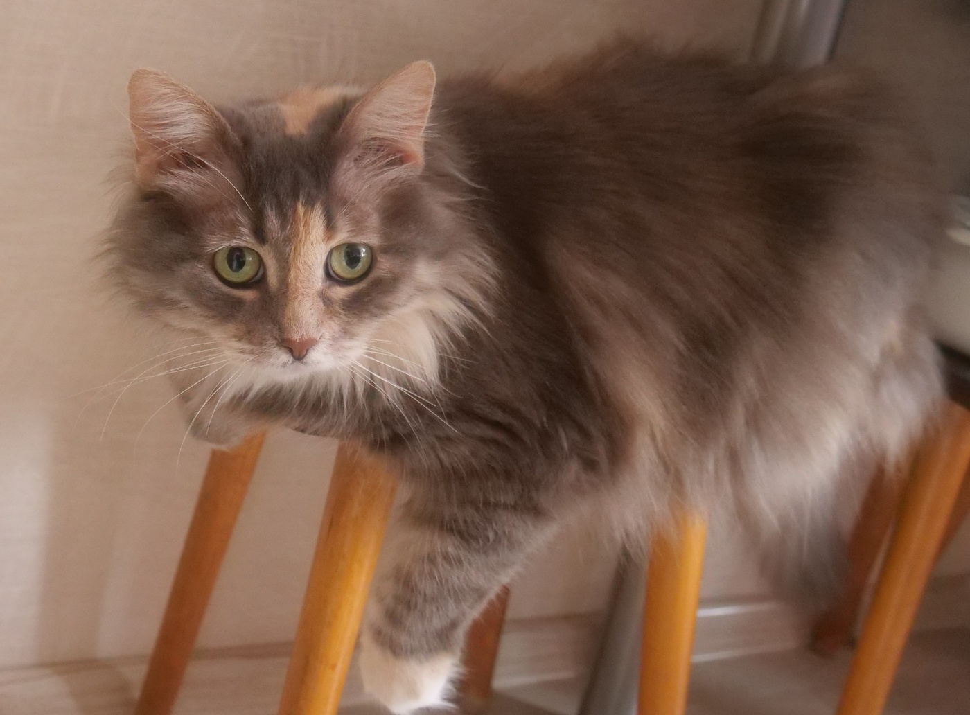 Очаровательные глазки