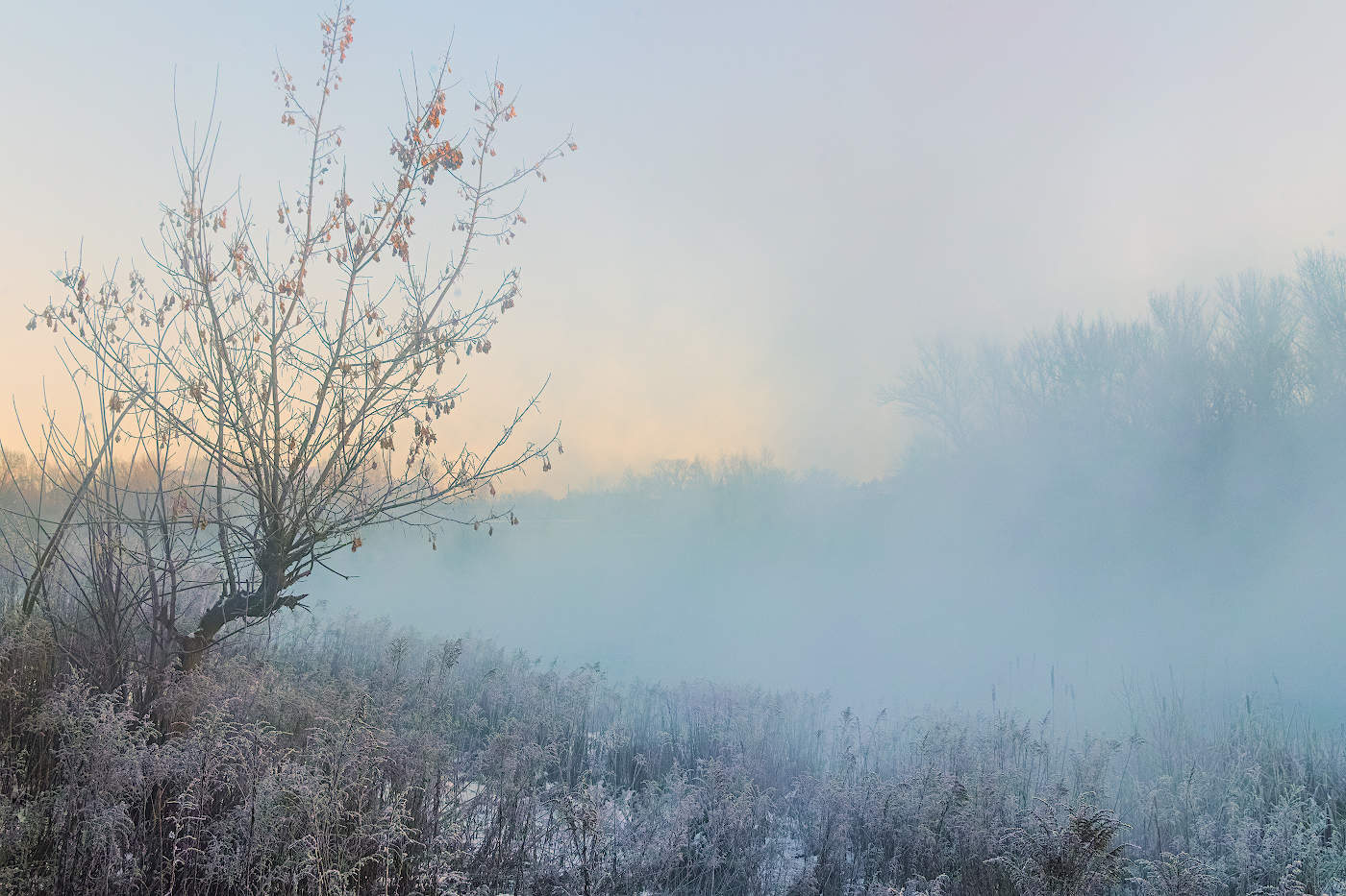 Синий туман