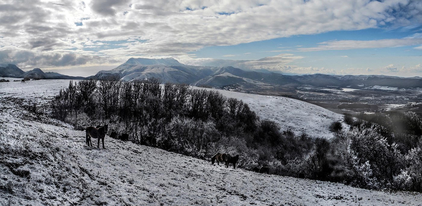 Обычная Зима.
