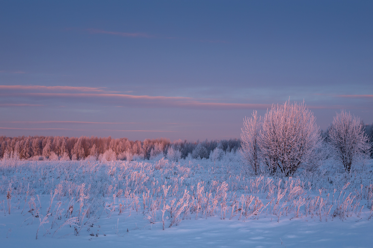 Первые лучи