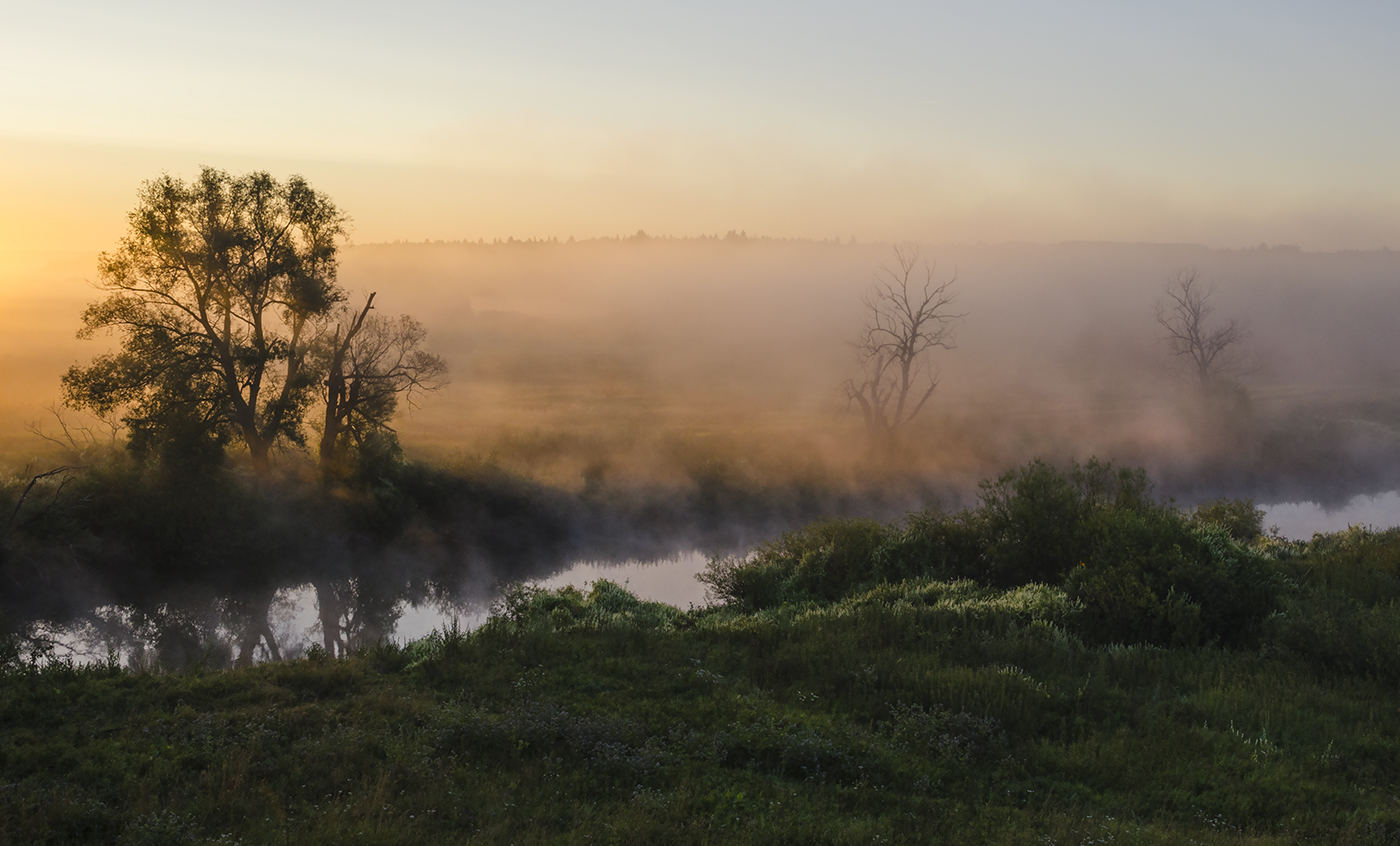 Туманы лета