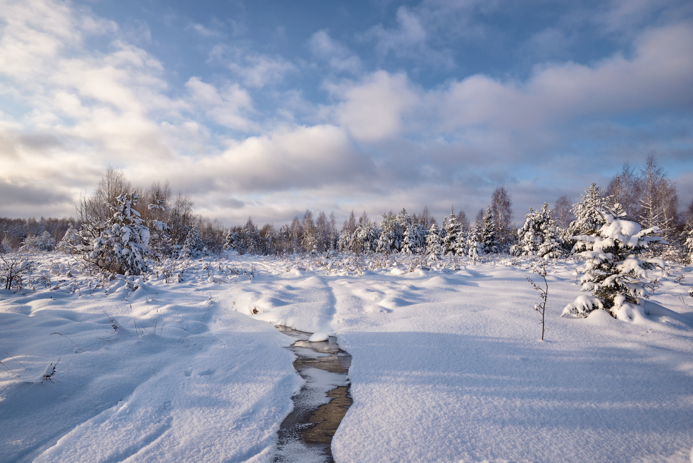 зимний день