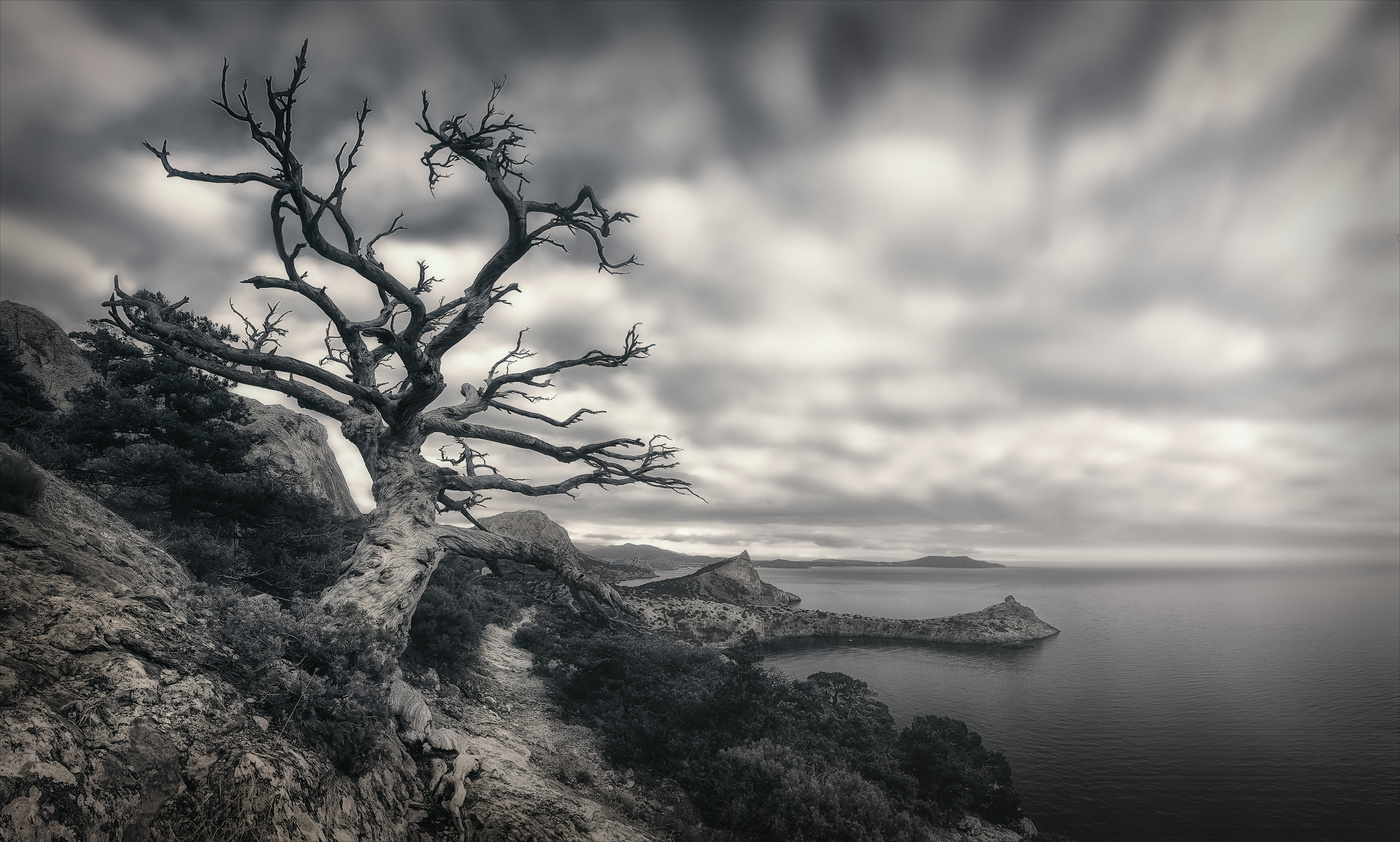 Слушая небо.