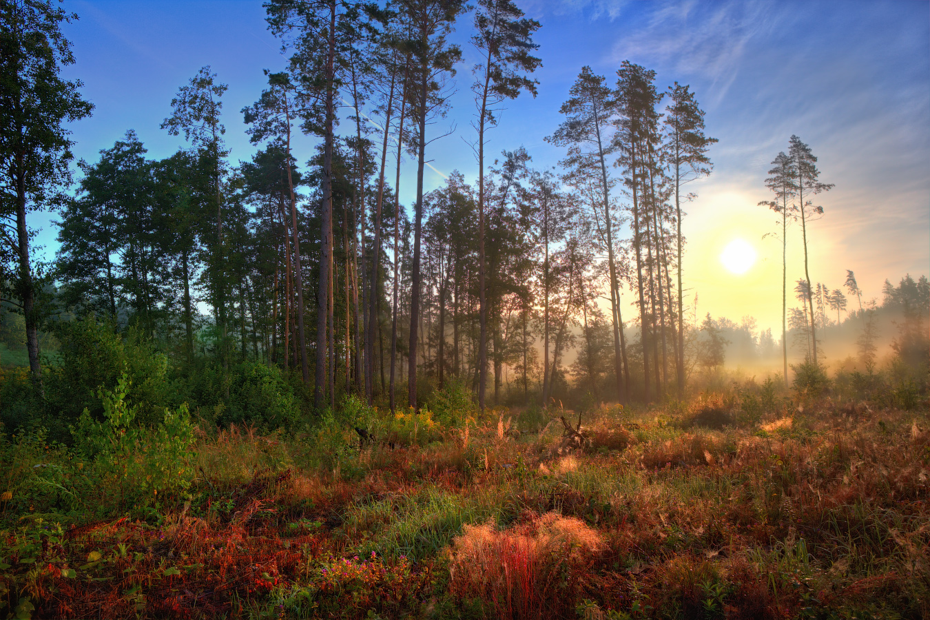Рассвет в августе