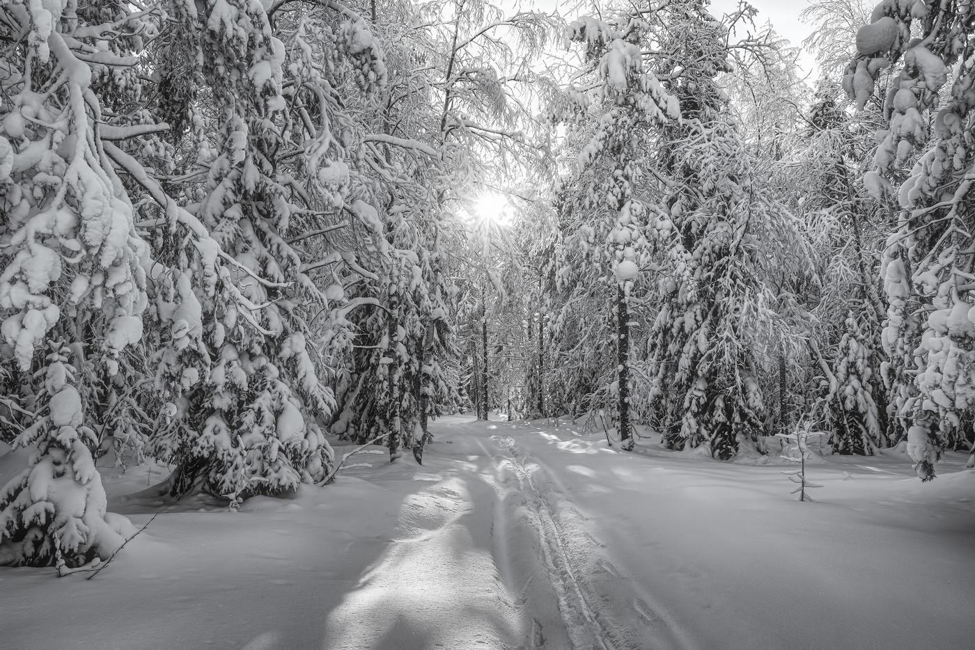 Снежное царство