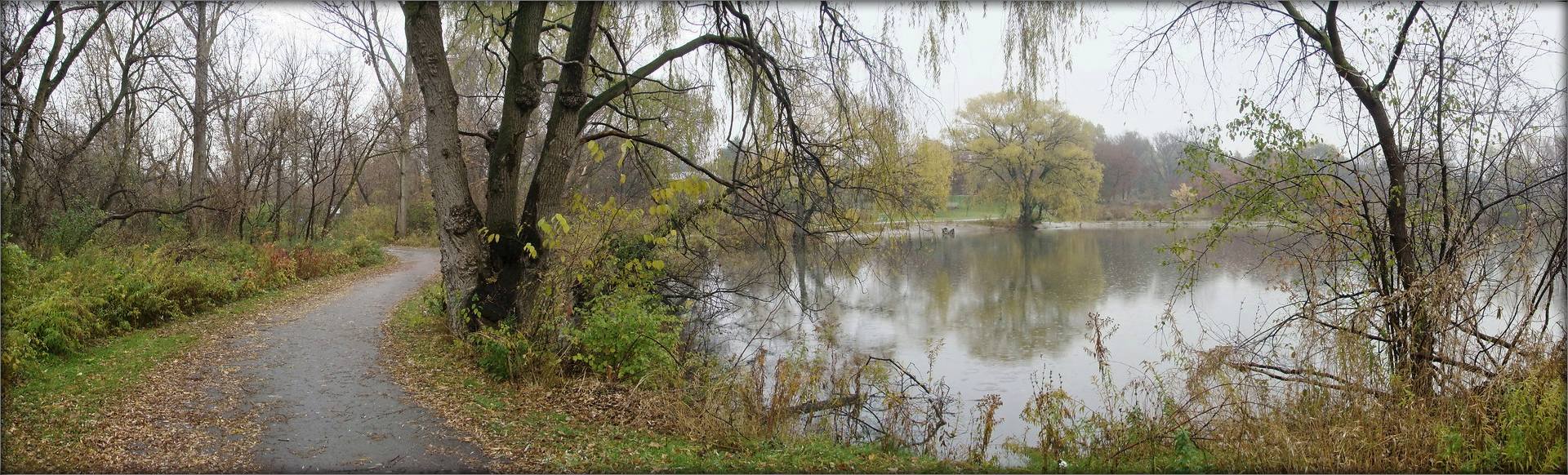 лістападныя кудзелі