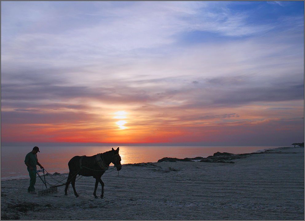 Пляжепашец