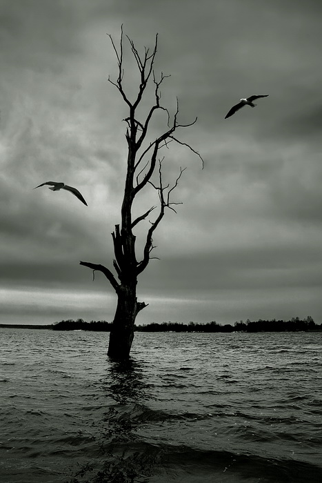 Большая вода