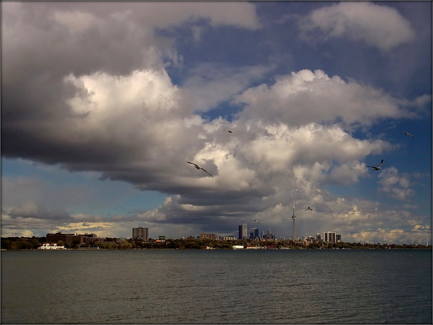 птушкам неспакой