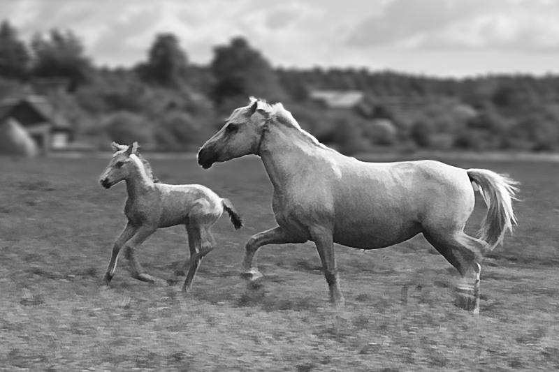 Ветер и ветерок