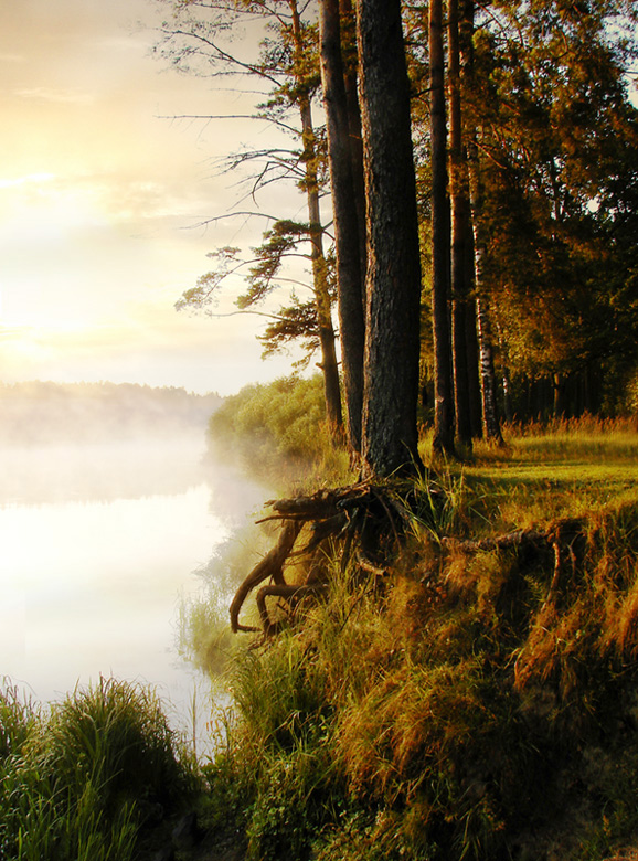 Береговые ИЗОлинии