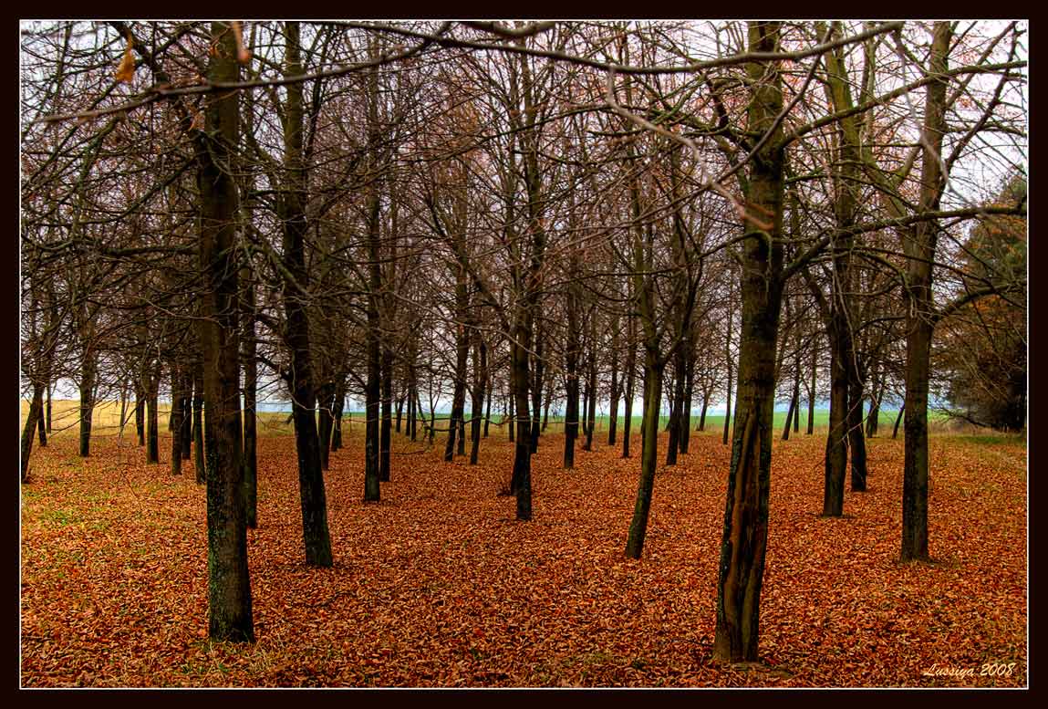 Осенние солдаты