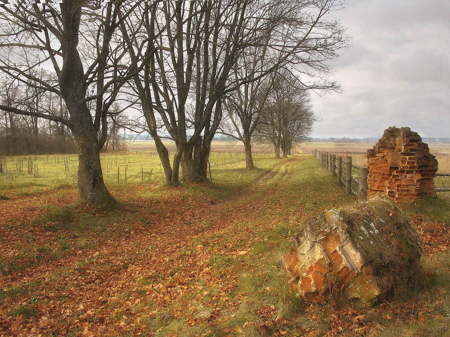 Про осеннюю дорожку