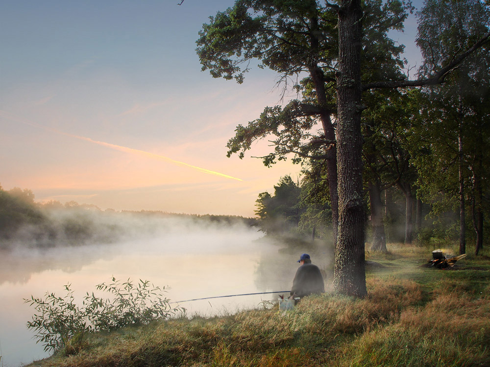 Завтрак туриста