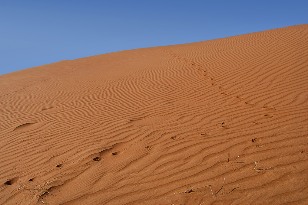 Смотрите, кто прошел...