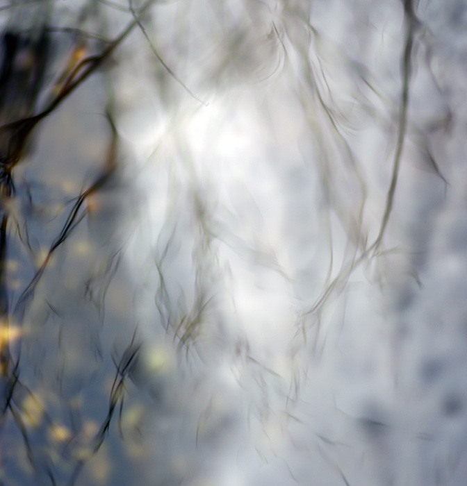 из вчерашней зимы