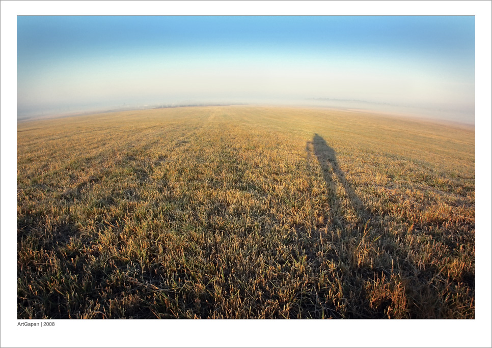 На трёх китах и черепахе...