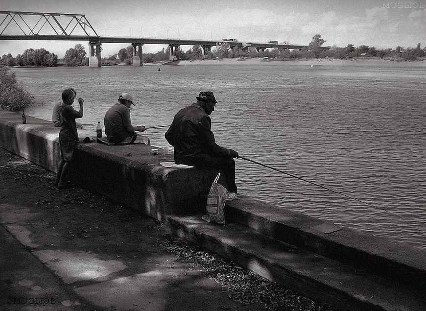 Мозырь рыболовный