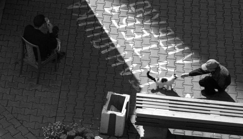 Переезды, переезды...