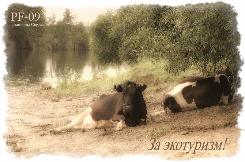 за экотуризм!