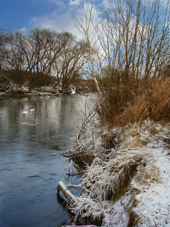 Береговые ИЗОлинии2