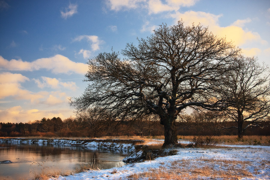 В декабре на Вилии
