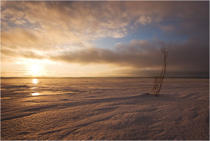 Жаждущий света..