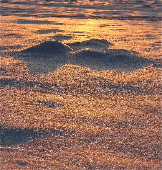 О барханчиках..