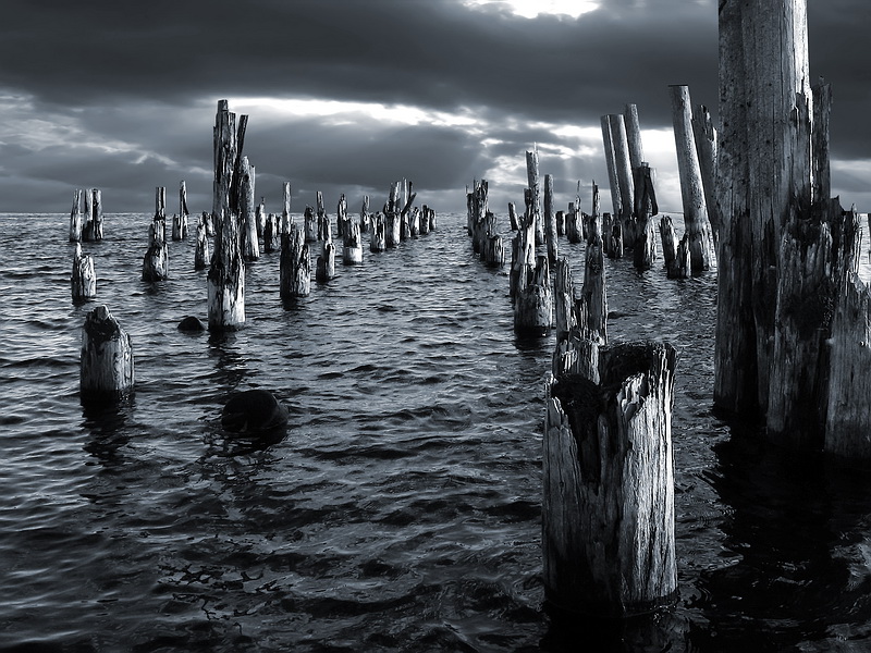 Они стоят, готовые к атаке...