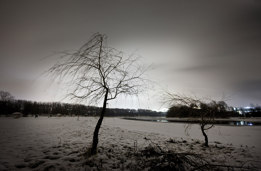 Про зимнюю ночь