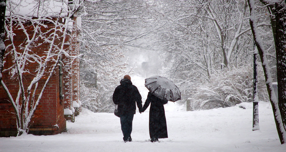 а снег все шел...