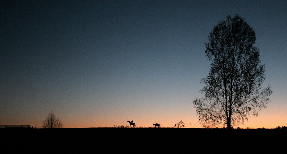 Ночной дозор