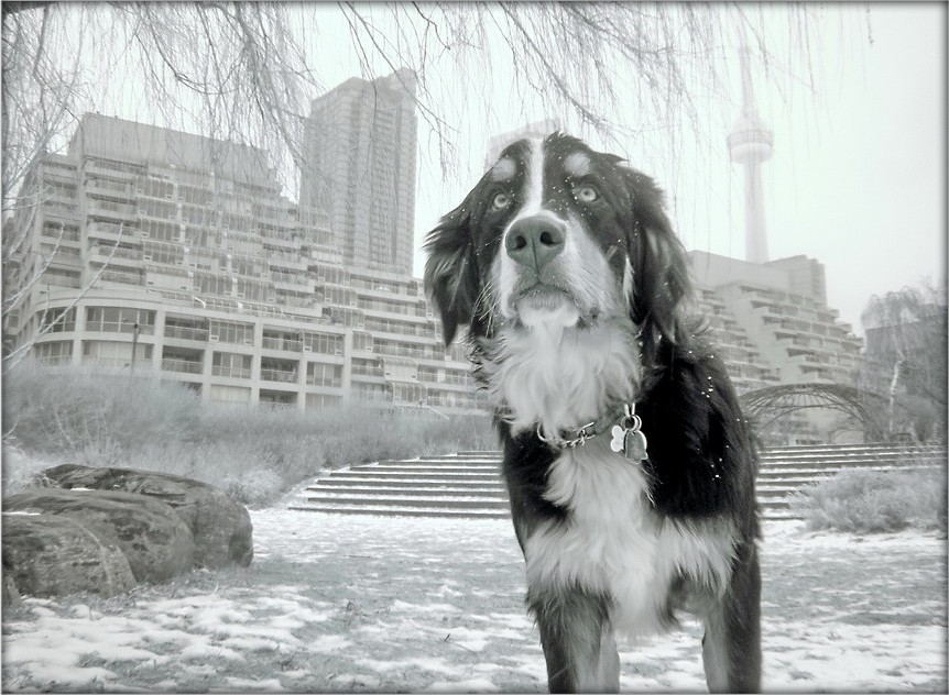 адсюль, кажуць, птушачкі вылятаюць?