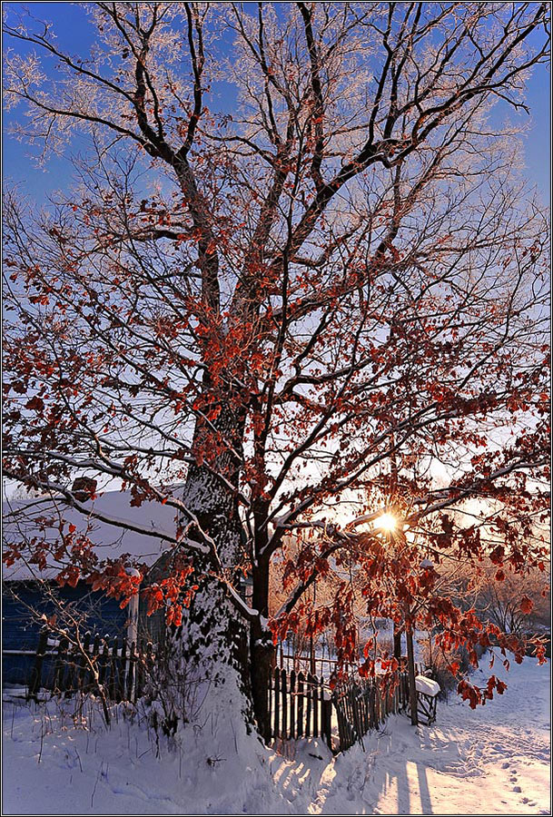 Солнечное утро