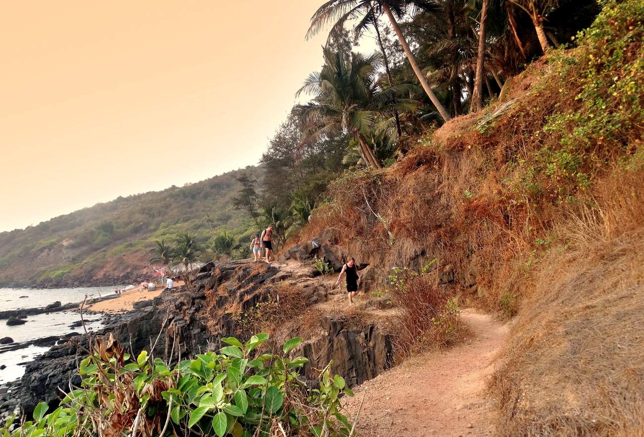 Пятничные тропинки