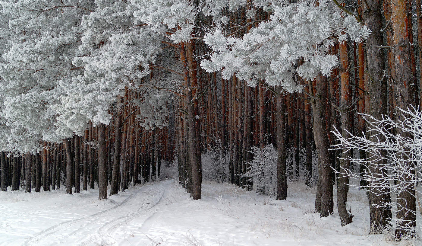 Пятничные тропинки