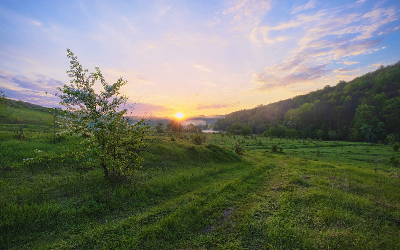 Пятничные тропинки