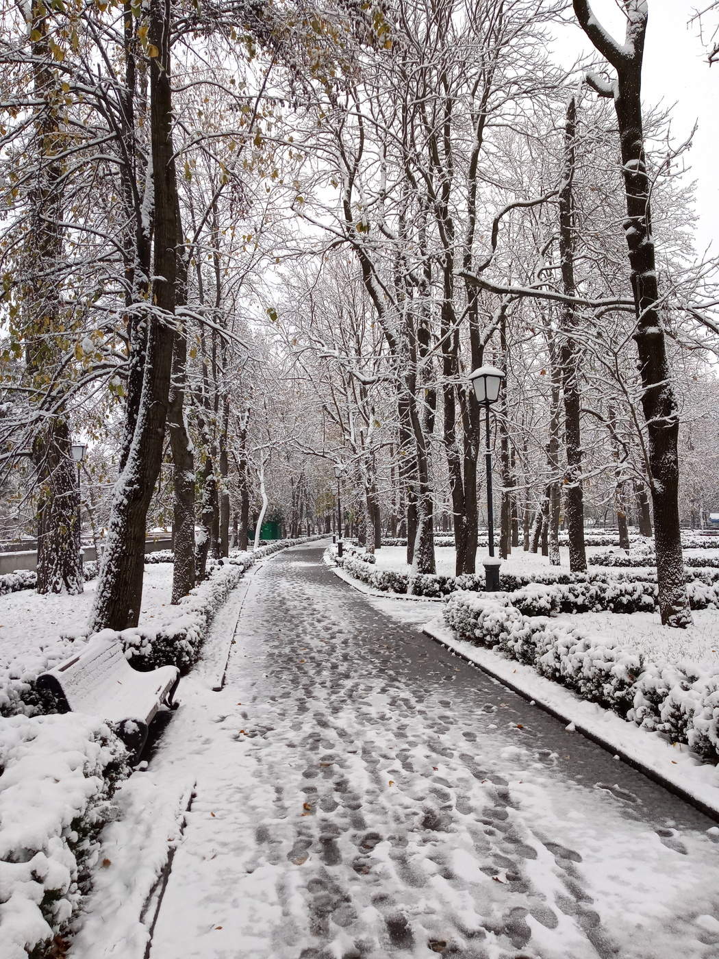 Пятничные тропинки