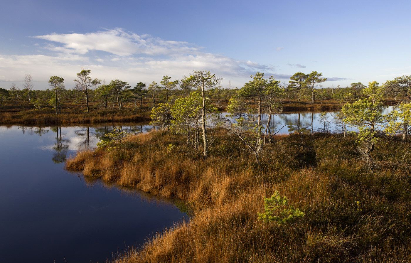 Обратно в осень