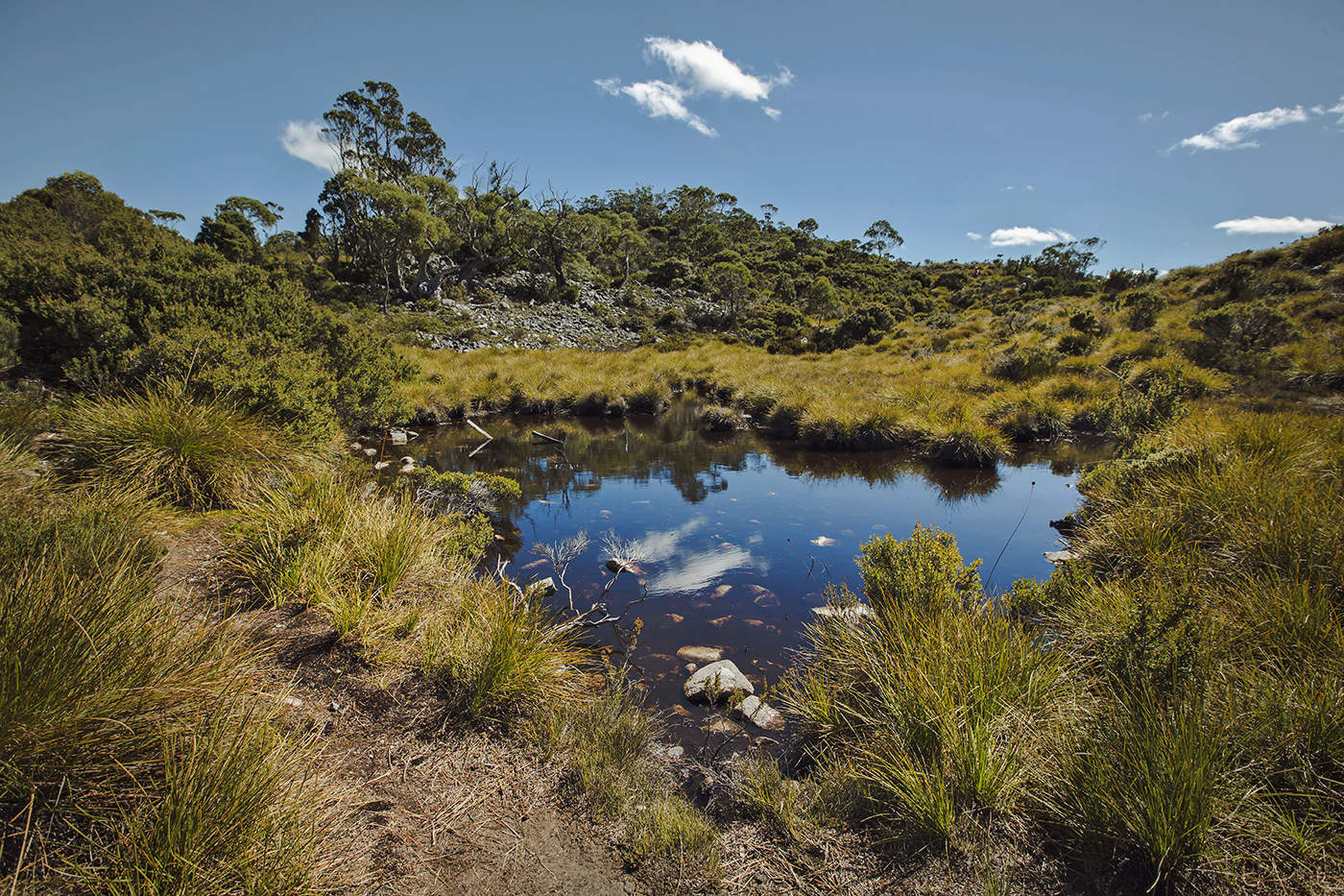 Пятничные тропинки