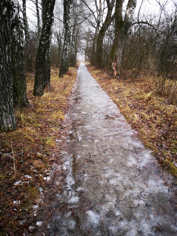 Пятничные тропинки